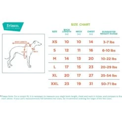 Frisco Teal Floral Dog & Cat Jersey PJs 10 Frisco Teal Floral Dog & Cat Jersey PJs -Chewy 249132 PT1. AC SS1800 V1637653643