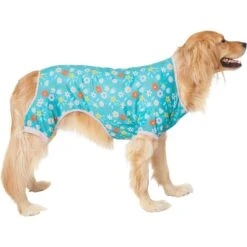 Frisco Teal Floral Dog & Cat Jersey PJs 11 Frisco Teal Floral Dog & Cat Jersey PJs -Chewy 249132 PT2. AC SS1800 V1637674341