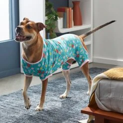 Frisco Teal Floral Dog & Cat Jersey PJs 15 Frisco Teal Floral Dog & Cat Jersey PJs -Chewy 249132 PT7. AC SS1800 V1614376401