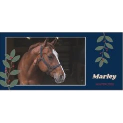 Frisco Berry Garland Personalized Coffee Mug, 11-oz 8 Frisco Berry Garland Personalized Coffee Mug, 11-oz -Chewy 249333 PT2. AC SS1800 V1602863774