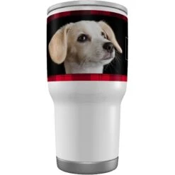 Frisco Double Walled Red Plaid Personalized Tumbler, 30-oz Cup 12 Frisco Double Walled Red Plaid Personalized Tumbler, 30-oz Cup -Chewy 249346 PT3. AC SS1800 V1602042957