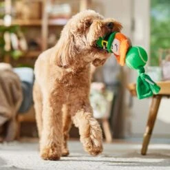 Frisco St. Patrick's Leprechaun Plush With Tennis Ball Squeaky Dog Toy 10 Frisco St. Patrick's Leprechaun Plush With Tennis Ball Squeaky Dog Toy -Chewy 249472 PT4. AC SS1800 V1700163040