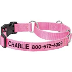 Frisco Solid Nylon Personalized Martingale Dog Collar
