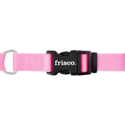 Frisco Solid Nylon Personalized Martingale Dog Collar 14 Frisco Solid Nylon Personalized Martingale Dog Collar -Chewy 249561 PT5. AC SS1800 V1628877460