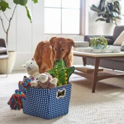 Frisco Rectangle Collapsible Pet Toy Storage Bin, Navy Herringbone 11 Frisco Rectangle Collapsible Pet Toy Storage Bin, Navy Herringbone -Chewy 250574 PT3. AC SS1800 V1615572218