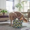 Frisco Round Collapsible Pet Toy Storage Bin, Yellow Geometric 2 Frisco Round Collapsible Pet Toy Storage Bin, Yellow Geometric -Chewy 250587 MAIN. AC SS1800 V1615242941