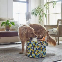 Frisco Round Collapsible Pet Toy Storage Bin, Yellow Geometric -Chewy 250587 PT3. AC SS1800 V1615572147