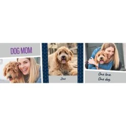 Frisco Double Walled "Dog Mom" Personalized Tumbler, 30-oz Cup 10 Frisco Double Walled "Dog Mom" Personalized Tumbler, 30-oz Cup -Chewy 250741 PT2. AC SS1800 V1602689509