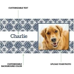 Frisco Double Walled Boho Damask Personalized Tumbler, 30-oz Cup 8 Frisco Double Walled Boho Damask Personalized Tumbler, 30-oz Cup -Chewy 250749 PT1. AC SS1800 V1606675630