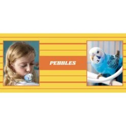 Frisco Double Walled Preppy Stripes Personalized Tumbler, 30-oz Cup -Chewy 250751 PT2. AC SS1800 V1606678620