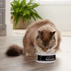 Frisco "Paws Off" Ceramic Personalized Dog & Cat Bowl 9 Frisco "Paws Off" Ceramic Personalized Dog & Cat Bowl -Chewy 250829 PT3. AC SS1800 V1610767170