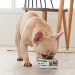 Frisco Boho Damask Ceramic Personalized Dog & Cat Bowl 9 Frisco Boho Damask Ceramic Personalized Dog & Cat Bowl -Chewy 250833 PT3. AC SS1800 V1610758070