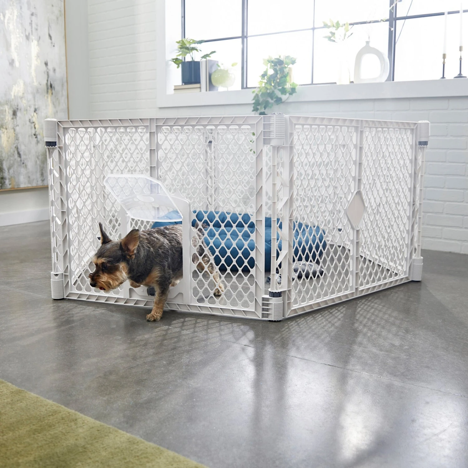 Frisco 6-Panel Plastic Exercise Dog Playpen, Light Gray 3 Frisco 6-Panel Plastic Exercise Dog Playpen, Light Gray