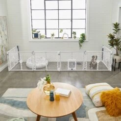 Frisco 6-Panel Plastic Exercise Dog Playpen, Light Gray 16 Frisco 6-Panel Plastic Exercise Dog Playpen, Light Gray -Chewy 252045 PT6. AC SS1800 V1611090517