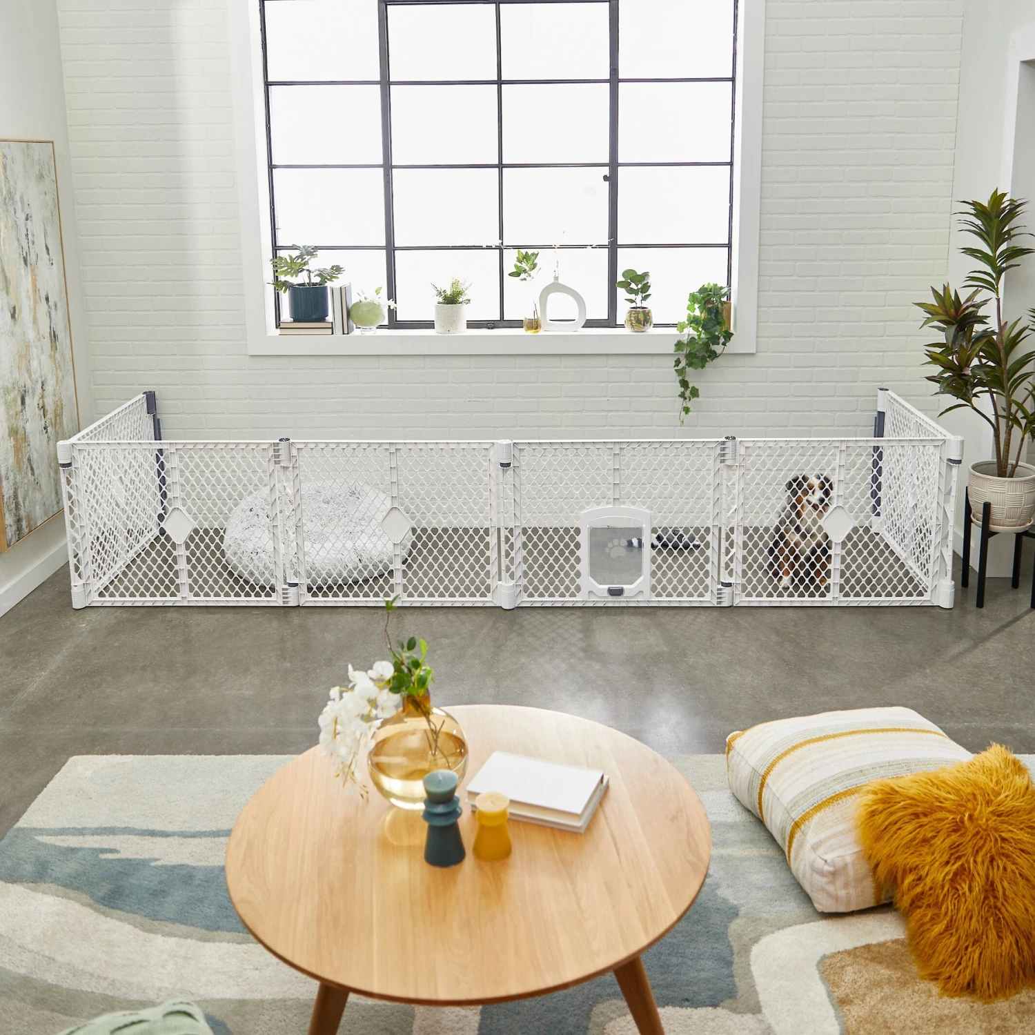 Frisco 6-Panel Plastic Exercise Dog Playpen, Light Gray 9 Frisco 6-Panel Plastic Exercise Dog Playpen, Light Gray - Image 7