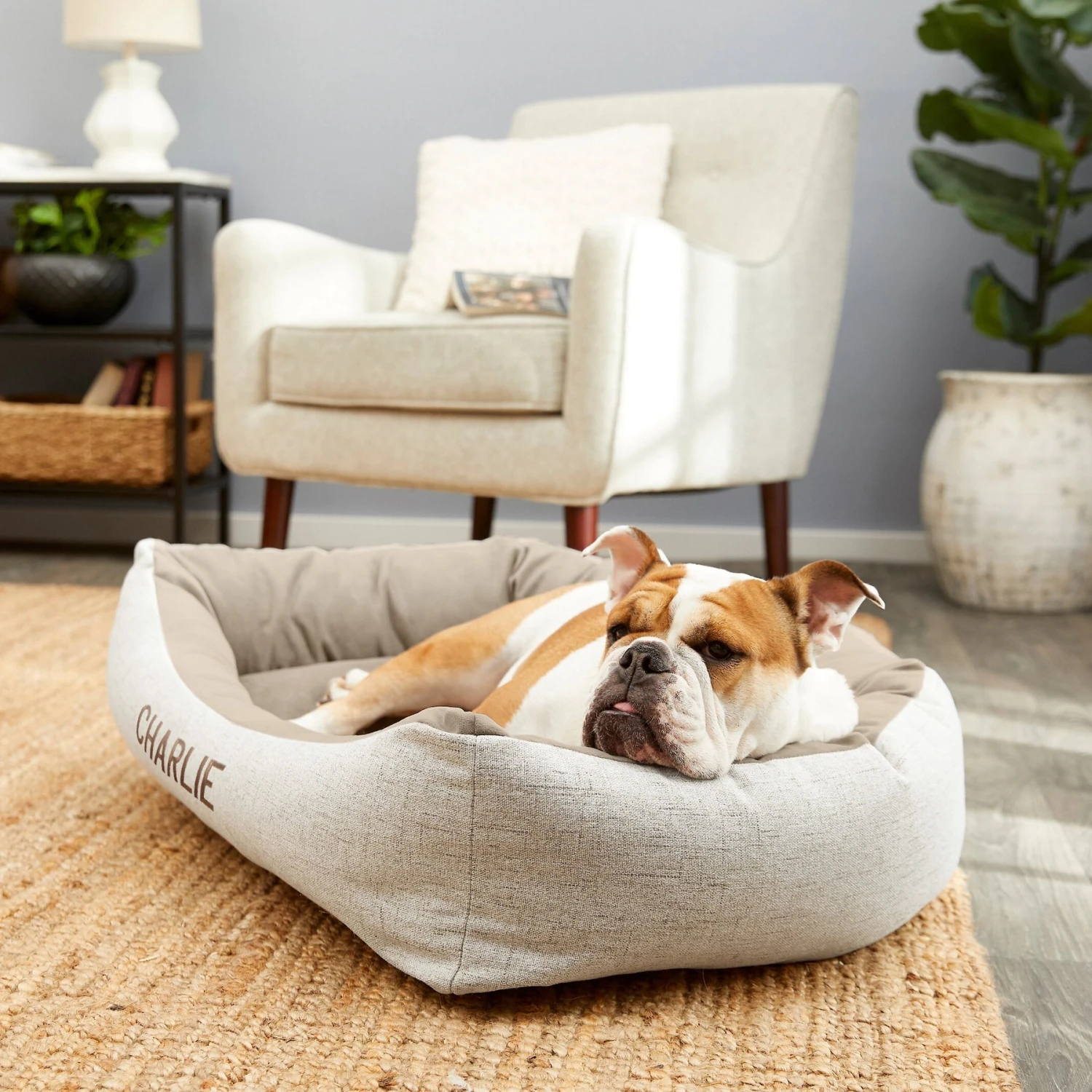 Frisco Rectangular Personalized Bolster Dog Bed W/Removable Cover, Beige, Medium 3 Frisco Rectangular Personalized Bolster Dog Bed W/Removable Cover, Beige, Medium