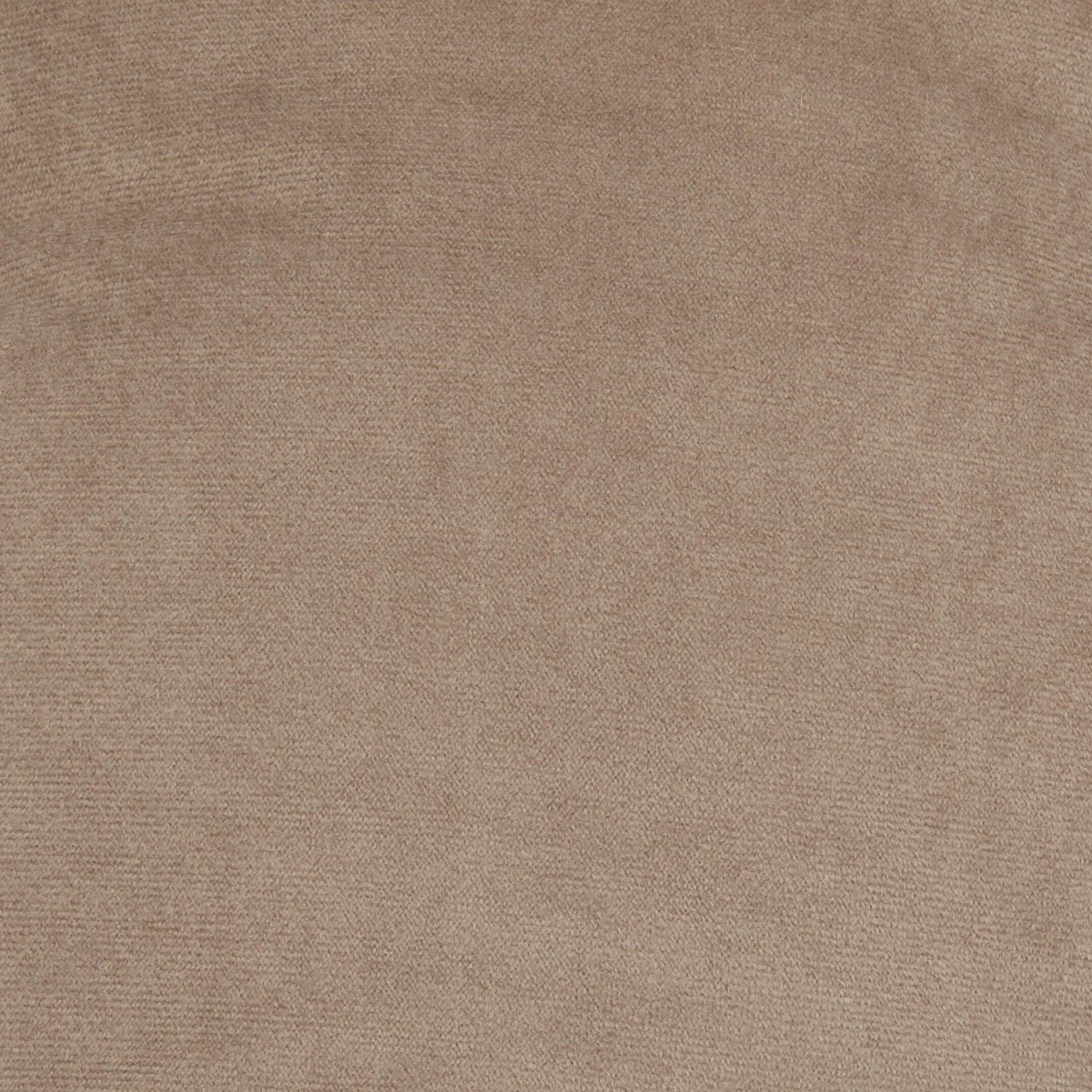 Frisco Rectangular Personalized Bolster Dog Bed W/Removable Cover, Beige, X-Large 8 Frisco Rectangular Personalized Bolster Dog Bed W/Removable Cover, Beige, X-Large - Image 6