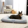 Frisco Orthopedic Personalized Bolster Dog Bed W/Removable Cover, Harbour Blue, Large 1 Frisco Orthopedic Personalized Bolster Dog Bed W/Removable Cover, Harbour Blue, Large -Chewy 252617 MAIN. AC SS1800 V1604499108