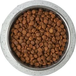 Frisco Quartz Design Stainless Steel Dog & Cat Bowl -Chewy 253044 PT5. AC SS1800 V1616526766