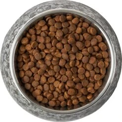 Frisco Black Marble Design Stainless Steel Dog & Cat Bowl 16 Frisco Black Marble Design Stainless Steel Dog & Cat Bowl -Chewy 253048 PT5. AC SS1800 V1616526736