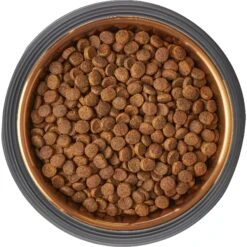 Frisco Matte Black Design Light Copper Stainless Steel Dog & Cat Bowl 15 Frisco Matte Black Design Light Copper Stainless Steel Dog & Cat Bowl -Chewy 253051 PT5. AC SS1800 V1616526794