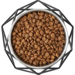 Frisco Elevated Stainless Steel Dog & Cat Bowl With Metal Stand 15 Frisco Elevated Stainless Steel Dog & Cat Bowl With Metal Stand -Chewy 253055 PT5. AC SS1800 V1616595387