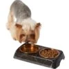 Frisco Copper Stainless Steel Double Dog & Cat Bowls With Black Marble Stand 2 Frisco Copper Stainless Steel Double Dog & Cat Bowls With Black Marble Stand -Chewy 253058 MAIN. AC SS1800 V1616075012