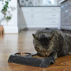 Frisco Copper Stainless Steel Double Dog & Cat Bowls With Black Marble Stand 12 Frisco Copper Stainless Steel Double Dog & Cat Bowls With Black Marble Stand -Chewy 253058 PT2. AC SS1800 V1616594213