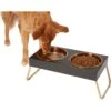 Frisco Copper Stainless Steel Elevated Foldable Double Dog & Cat Bowls -Chewy 253060 MAIN. AC SS1800 V1616073913