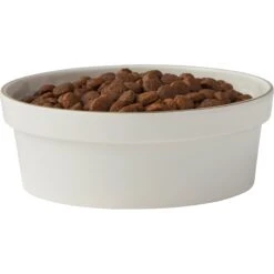 Frisco Gold Trim Melamine Dog & Cat Bowl -Chewy 253062 PT3. AC SS1800 V1616595685