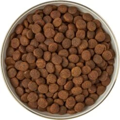 Frisco Gold Trim Melamine Dog & Cat Bowl -Chewy 253062 PT5. AC SS1800 V1616595396