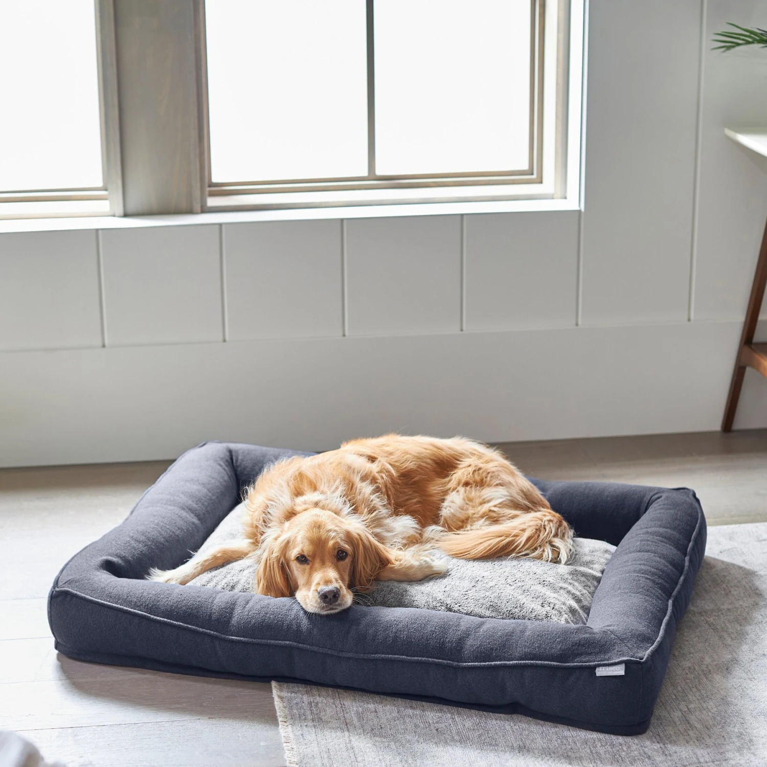Frisco Faux Felt Orthopedic Rectangular Bolster Dog Bed W/Removable Cover 3 Frisco Faux Felt Orthopedic Rectangular Bolster Dog Bed W/Removable Cover