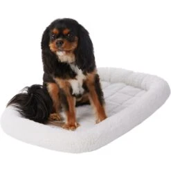 Frisco Heavy Duty Fold & Carry Single Door Collapsible Wire Dog Crate & Frisco Quilted Dog Crate Mat 11 Frisco Heavy Duty Fold & Carry Single Door Collapsible Wire Dog Crate & Frisco Quilted Dog Crate Mat -Chewy 255551 PT4. AC SS1800 V1604096523