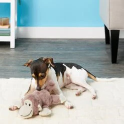 Frisco Monkey Plush Squeaky Dog Toy & Frisco Fox Plush Squeaky Dog Toy -Chewy 255597 PT2. AC SS1800 V1602702685