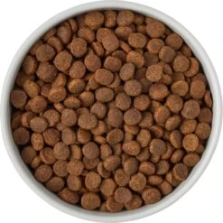 Frisco Ceramic Food Dog & Cat Bowl With Wood Base 12 Frisco Ceramic Food Dog & Cat Bowl With Wood Base -Chewy 256043 PT6. AC SS1800 V1615311151