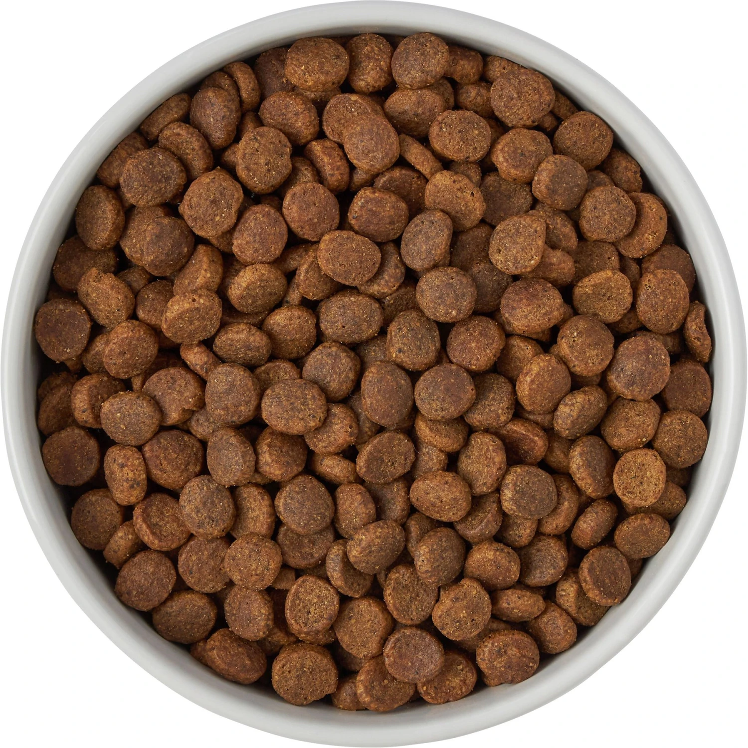 Frisco Ceramic Food Dog & Cat Bowl With Wood Base 7 Frisco Ceramic Food Dog & Cat Bowl With Wood Base - Image 5