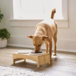 Frisco Ceramic Dog & Cat Double Diner With Elevated Wood Stand -Chewy 256052 PT2. AC SS1800 V1615311142