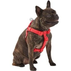 Frisco Outdoor Solid Textured Waterproof Stink Proof PVC Dog Harness 9 Frisco Outdoor Solid Textured Waterproof Stink Proof PVC Dog Harness -Chewy 256518 PT2. AC SS1800 V1625164704