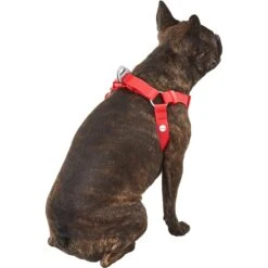 Frisco Outdoor Solid Textured Waterproof Stink Proof PVC Dog Harness 10 Frisco Outdoor Solid Textured Waterproof Stink Proof PVC Dog Harness -Chewy 256518 PT3. AC SS1800 V1625164999