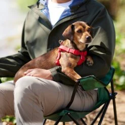 Frisco Outdoor Solid Textured Waterproof Stink Proof PVC Dog Harness 11 Frisco Outdoor Solid Textured Waterproof Stink Proof PVC Dog Harness -Chewy 256518 PT5. AC SS1800 V1625587387