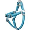 Frisco Outdoor Two Tone Waterproof Stinkproof PVC Dog Harness 1 Frisco Outdoor Two Tone Waterproof Stinkproof PVC Dog Harness -Chewy 256580 MAIN. AC SS1800 V1699629305