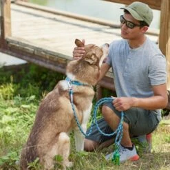 Frisco Outdoor Waterproof Stinkproof PVC Rope Leash -Chewy 256759 PT5. AC SS1800 V1625589494