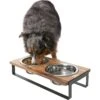 Frisco Wood Elevated Non-Skid Stainless Steel Double Diner Dog & Cat Bowl 2 Frisco Wood Elevated Non-Skid Stainless Steel Double Diner Dog & Cat Bowl -Chewy 257143 MAIN. AC SS1800 V1615913797