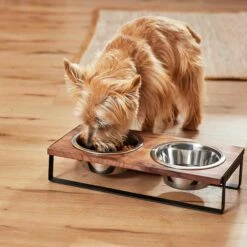Frisco Wood Elevated Non-Skid Stainless Steel Double Diner Dog & Cat Bowl 11 Frisco Wood Elevated Non-Skid Stainless Steel Double Diner Dog & Cat Bowl -Chewy 257143 PT3. AC SS1800 V1615987292