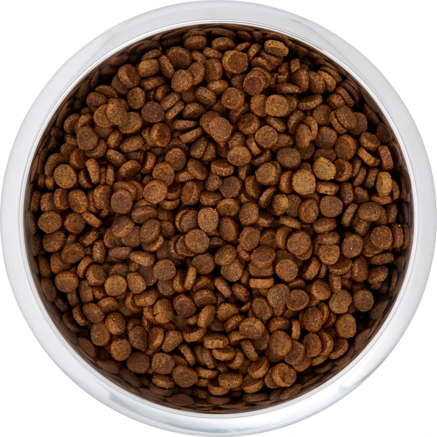 Frisco Black Iron Non-Skid Stainless Steel Dog & Cat Bowl 7 Frisco Black Iron Non-Skid Stainless Steel Dog & Cat Bowl - Image 5