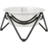 Frisco Triangle Iron Non-Skid Elevated Dog & Cat Bowl 1 Frisco Triangle Iron Non-Skid Elevated Dog & Cat Bowl -Chewy 257155 MAIN. AC SS1800 V1615521984
