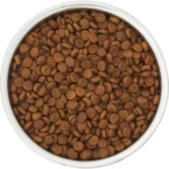 Frisco Insulated Two-Toned Non-Skid Stainless Steel Dog & Cat Bowl 13 Frisco Insulated Two-Toned Non-Skid Stainless Steel Dog & Cat Bowl -Chewy 257168 PT4. AC SS1800 V1612367255