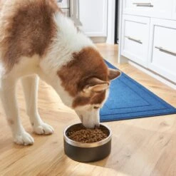 Frisco Insulated Two-Toned Non-Skid Stainless Steel Dog & Cat Bowl 15 Frisco Insulated Two-Toned Non-Skid Stainless Steel Dog & Cat Bowl -Chewy 257168 PT8. AC SS1800 V1615840126