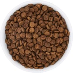 Frisco Bohemian Non-Skid Stainless Steel Dog & Cat Bowl 15 Frisco Bohemian Non-Skid Stainless Steel Dog & Cat Bowl -Chewy 257195 PT4. AC SS1800 V1615311089