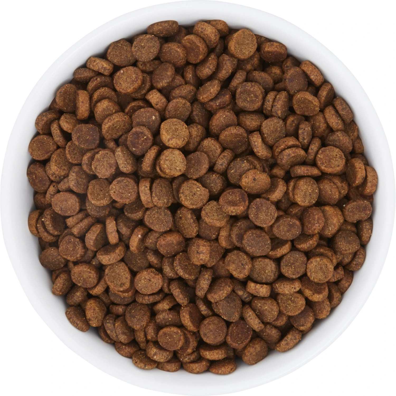 Frisco Bohemian Non-Skid Stainless Steel Dog & Cat Bowl 7 Frisco Bohemian Non-Skid Stainless Steel Dog & Cat Bowl - Image 5